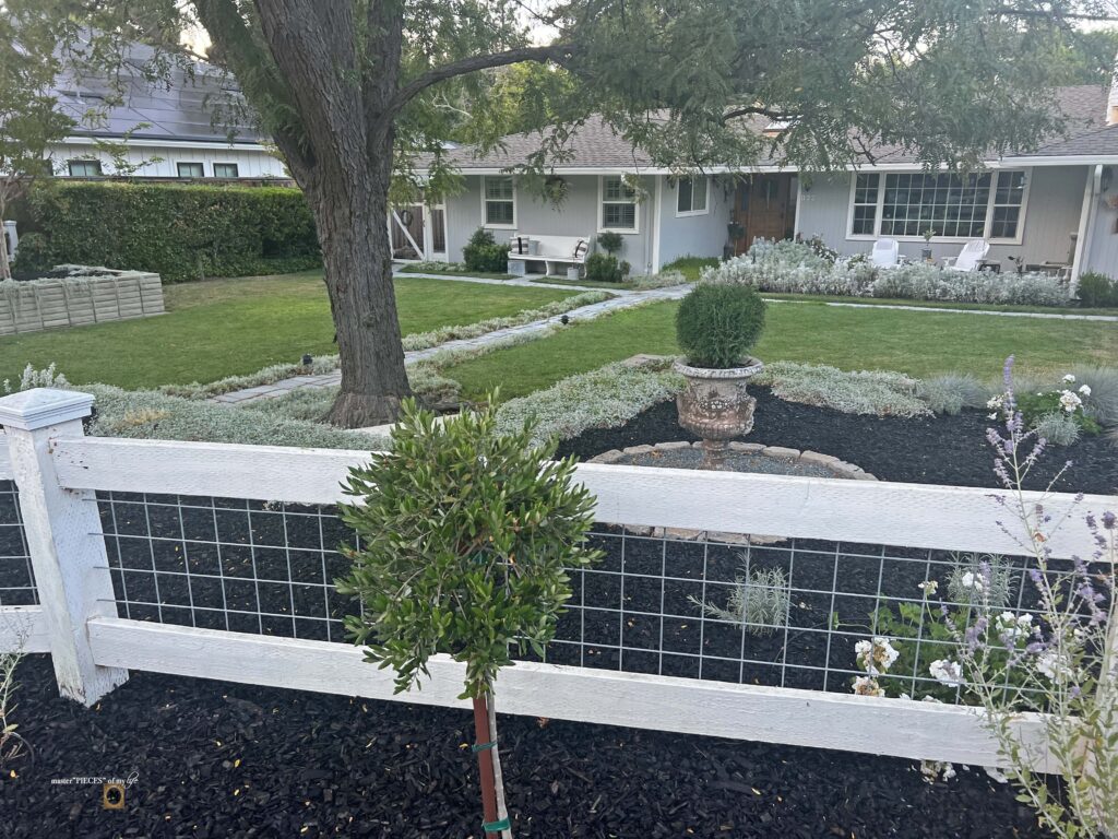 front yard landscaping