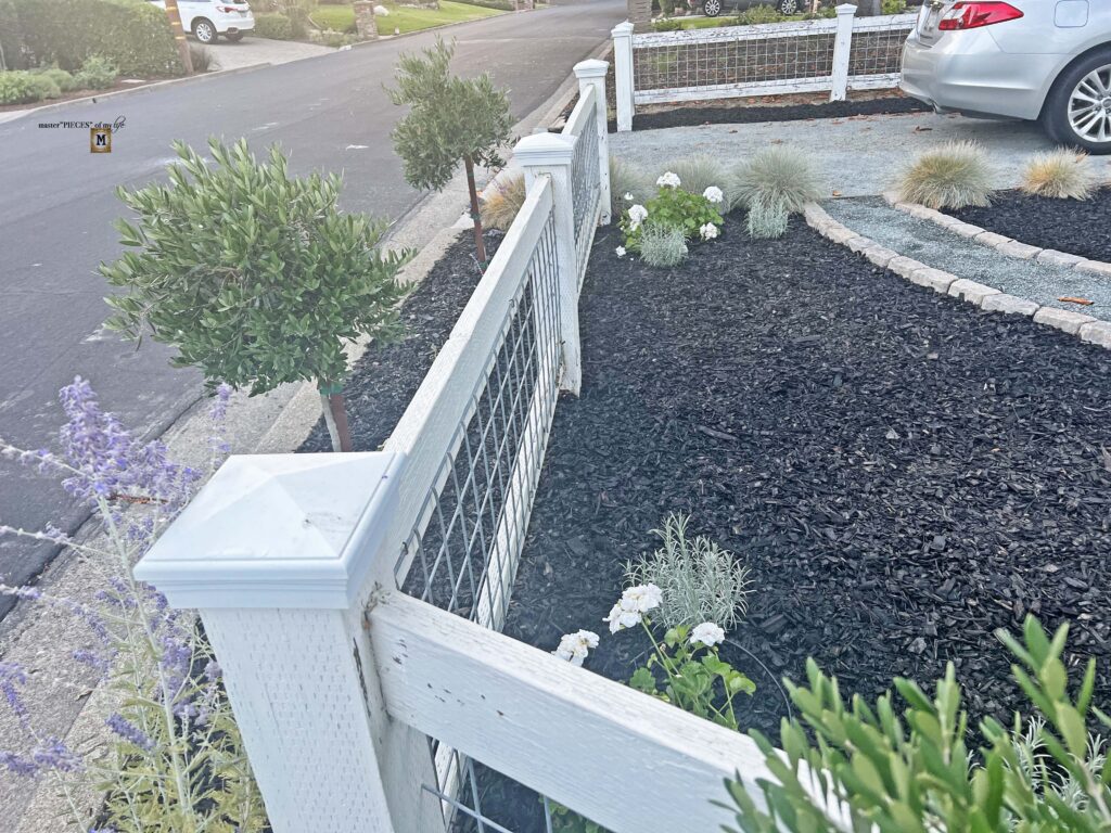 front yard landscaping