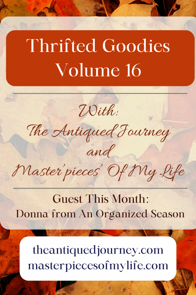 thrifted goodies series