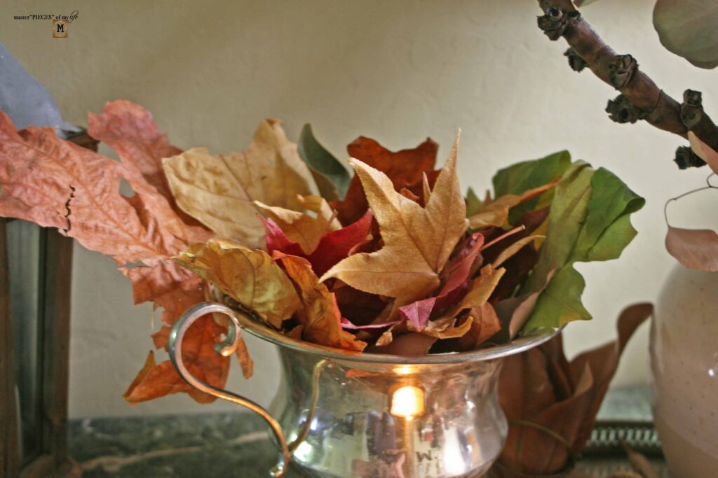 autumn leaves for fall decor