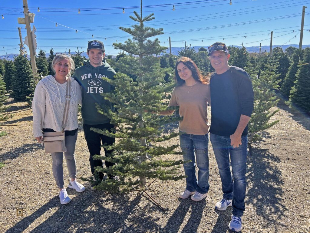 christmas tree tradition