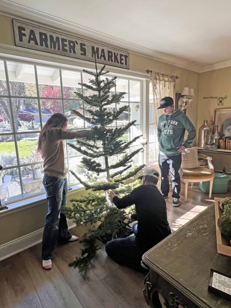 christmas tree tradition