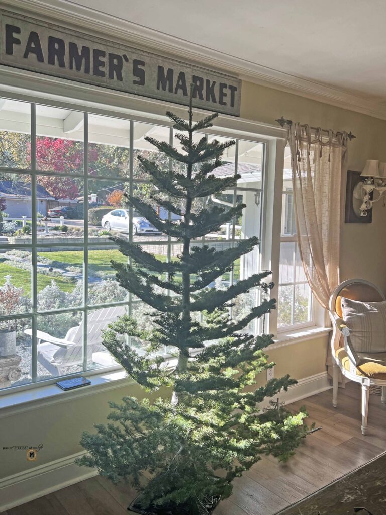 christmas tree tradition