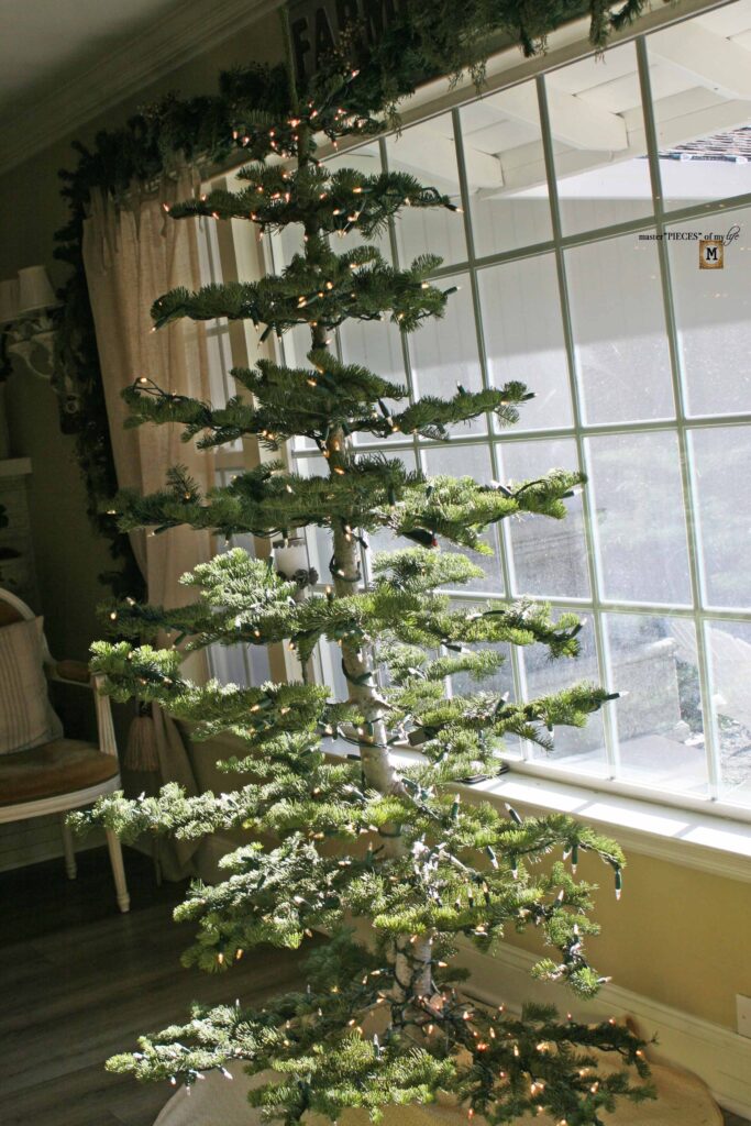 christmas tree tradition