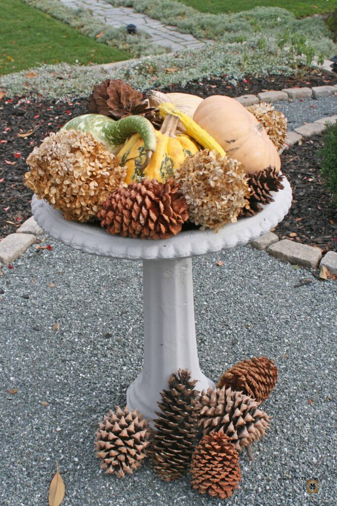 Thanksgiving Welcome