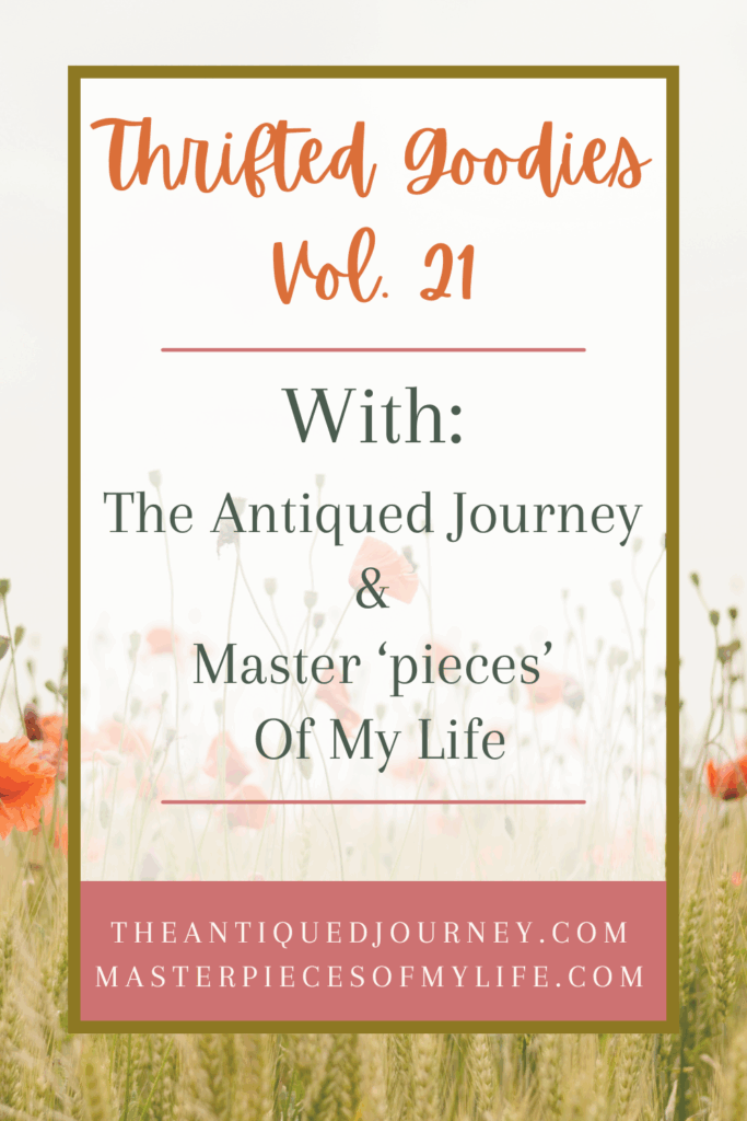 Thrifted Goodies Volume 21