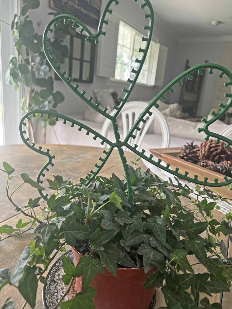 Shamrock topiary DIY