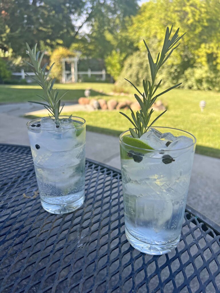 gin & tonic at home