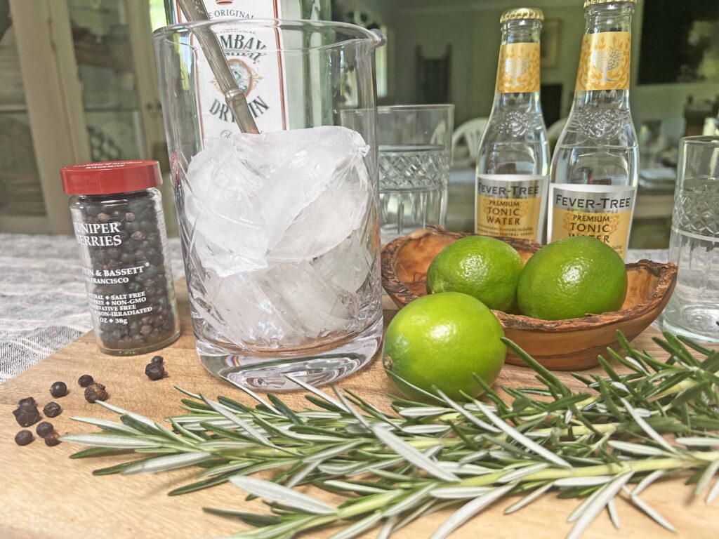 gin & tonic at home