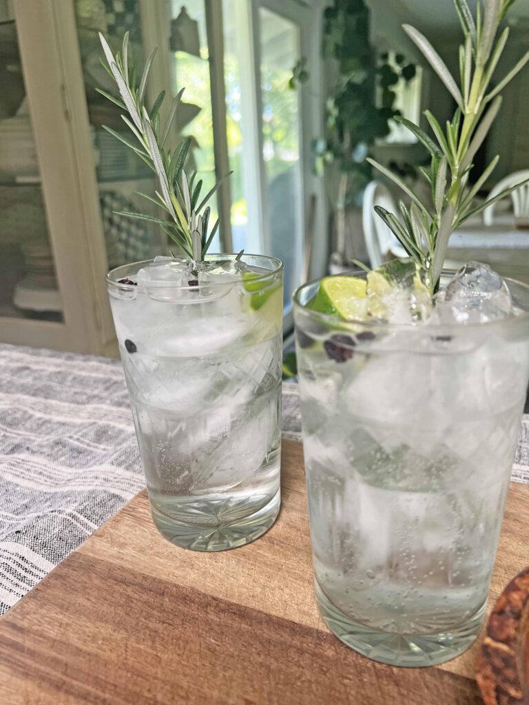 gin & tonic at home
