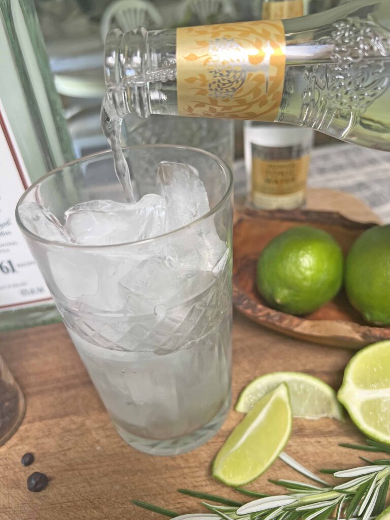 gin & tonic at home