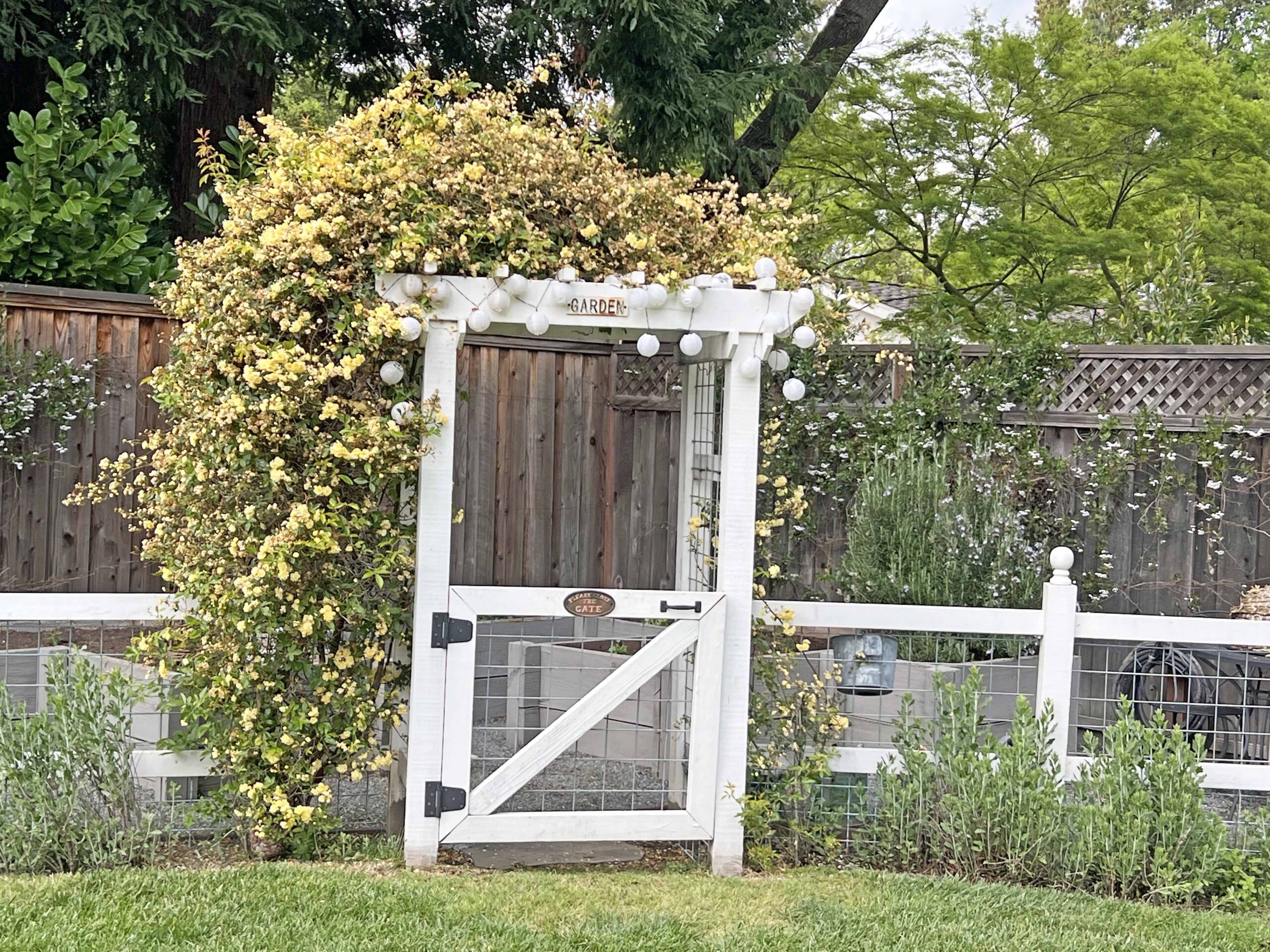 how to prep your home vegetable garden