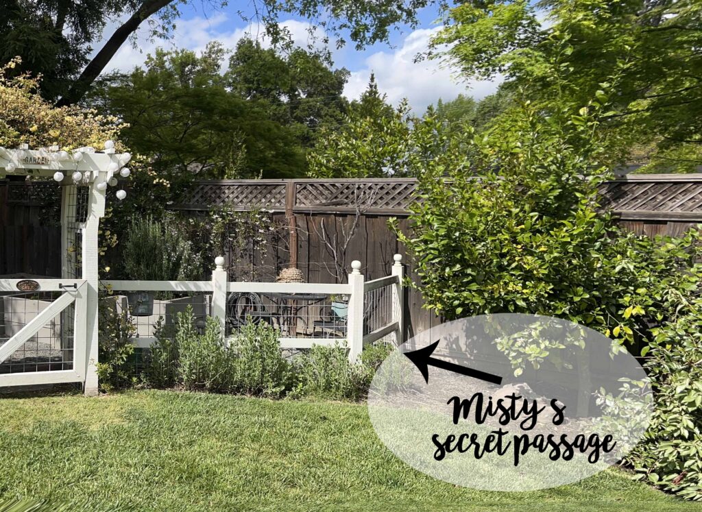 how to prep your home vegetable garden