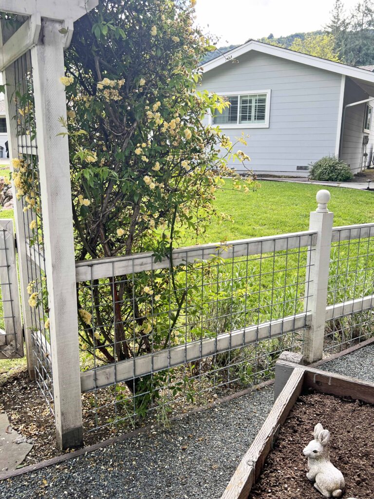 how to prep your home vegetable garden