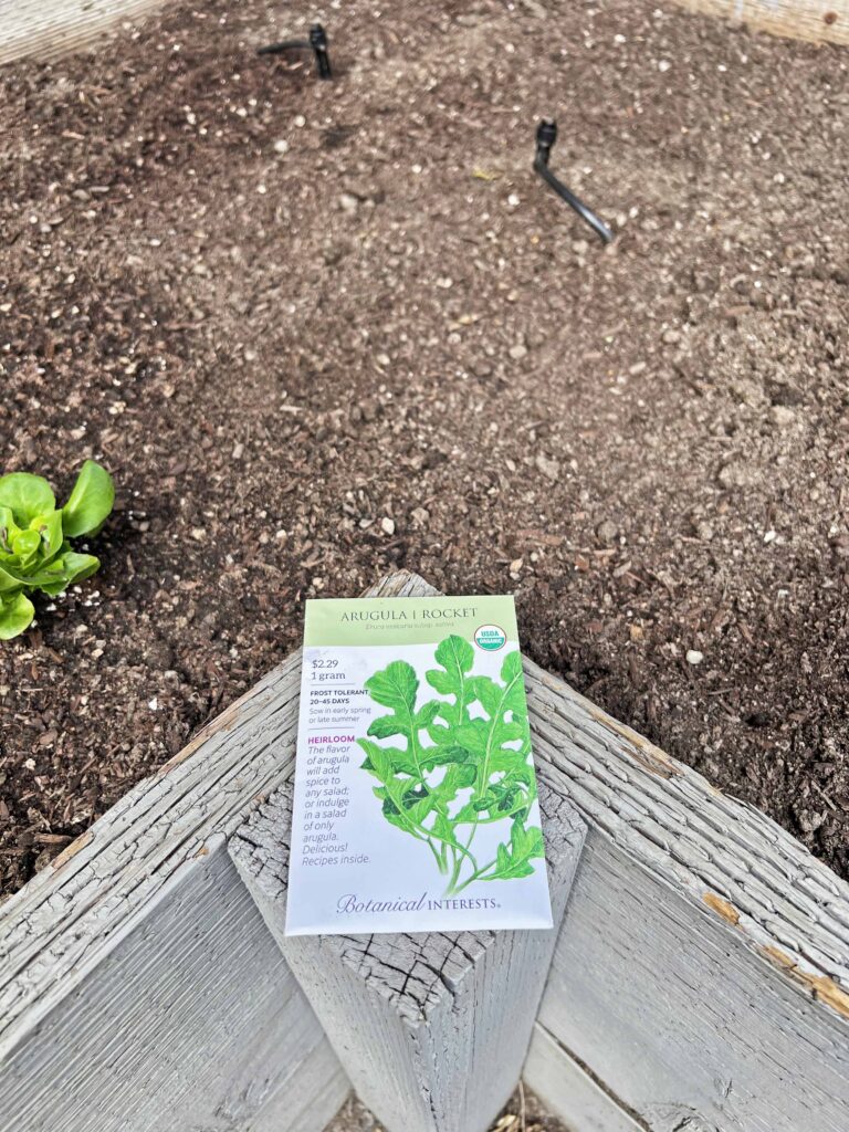 how to prep your home vegetable garden