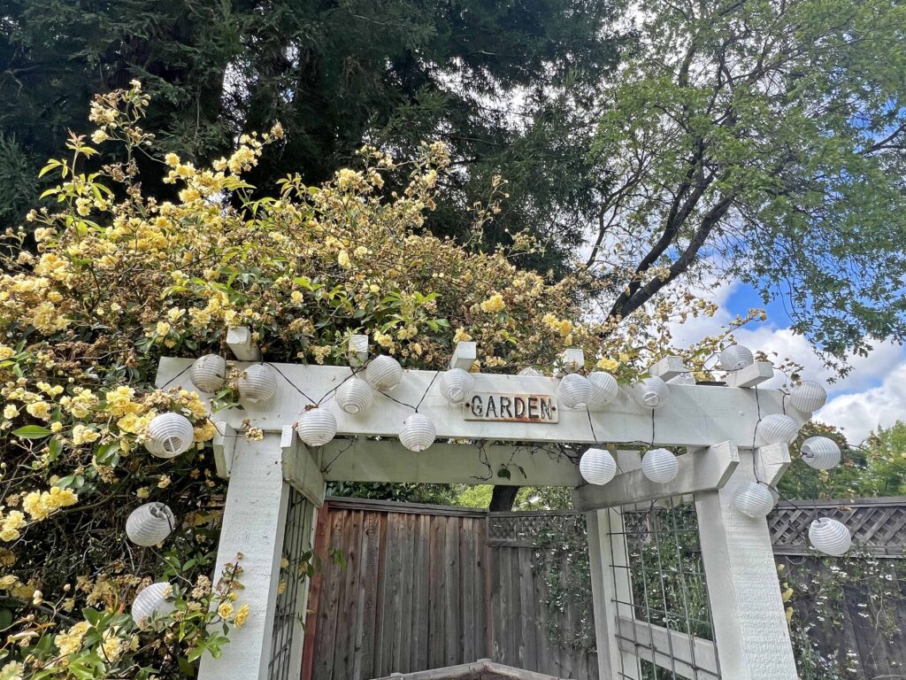 how to prep your home vegetable garden