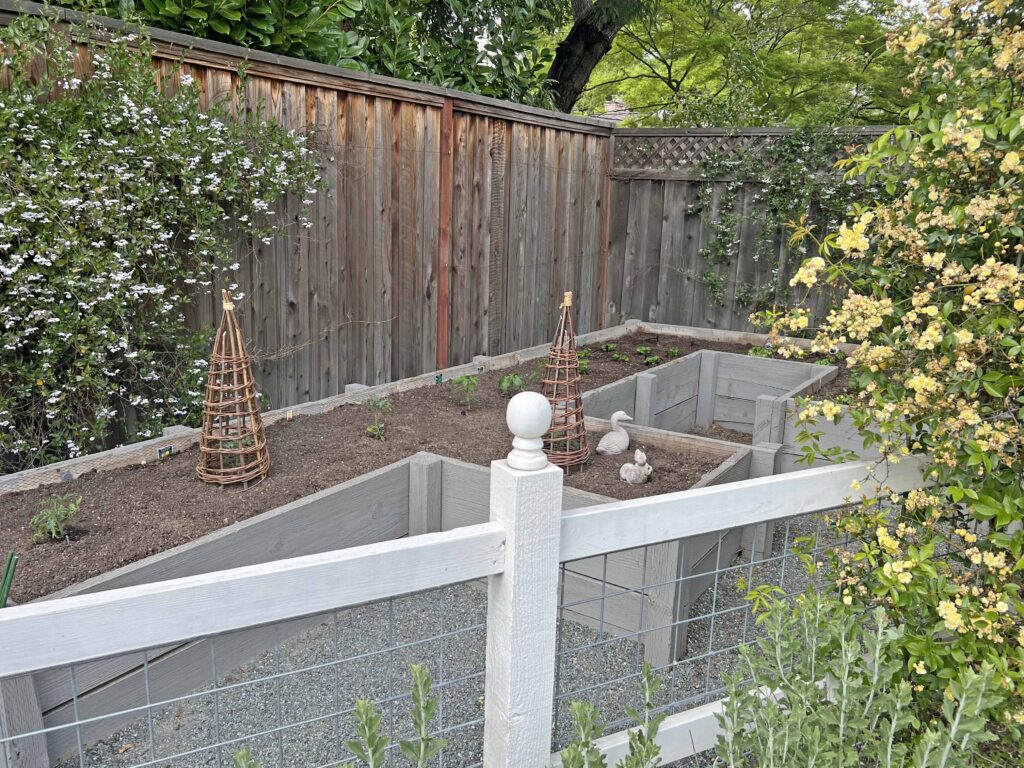 how to prep your home vegetable garden