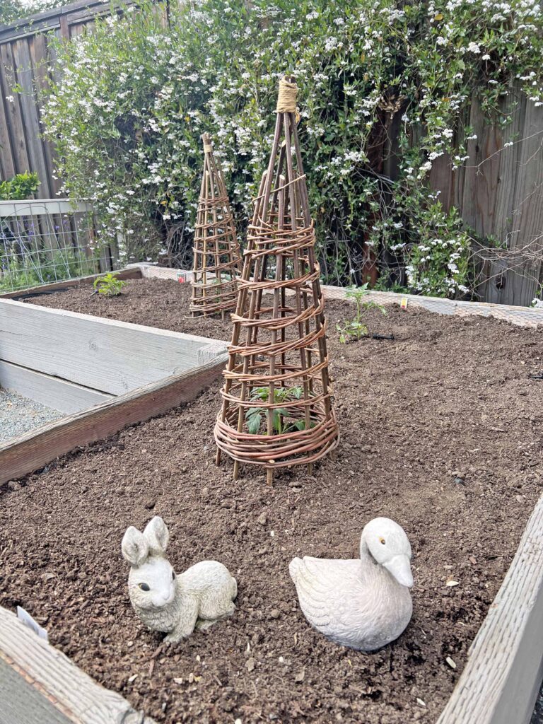 how to prep your home vegetable garden