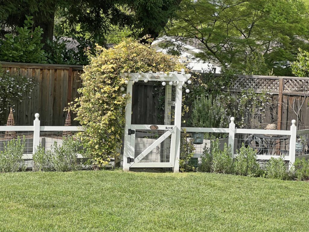 how to prep your home vegetable garden