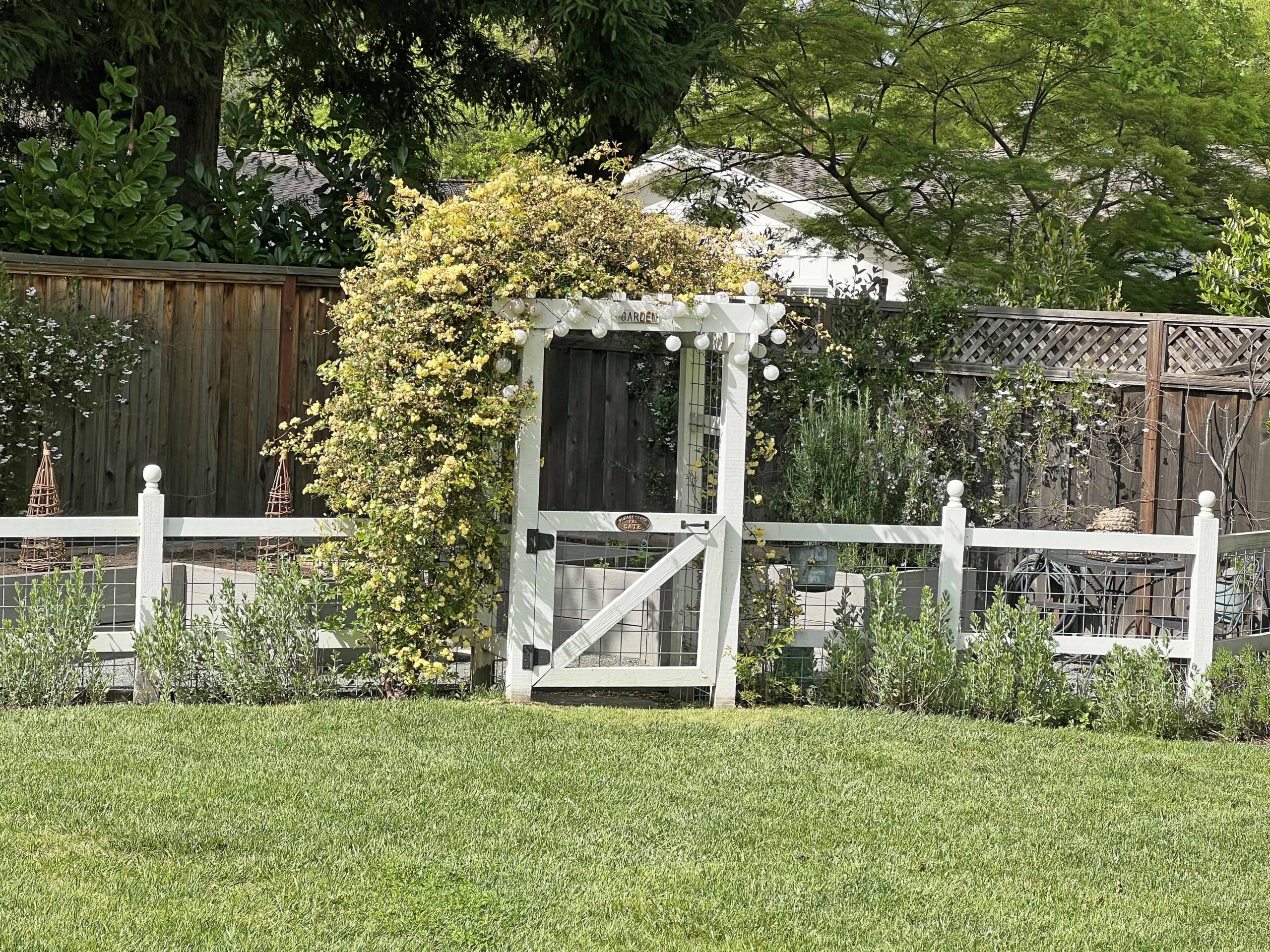 how to prep your home vegetable garden