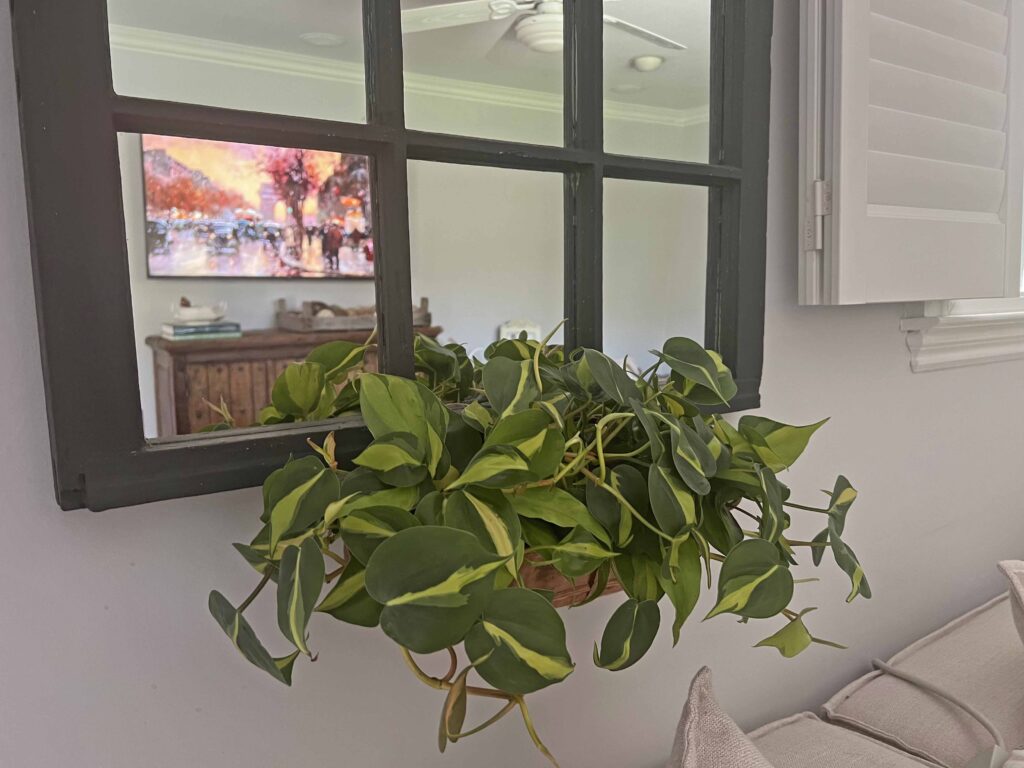 vintage window mirror update