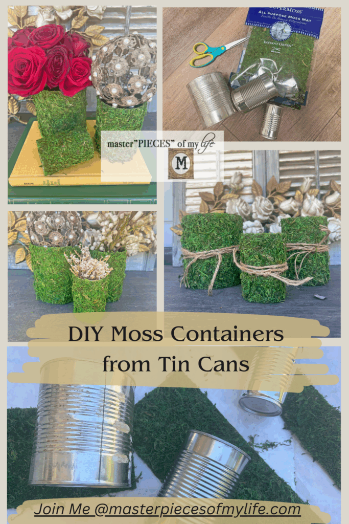 DIY moss containers from tin cans