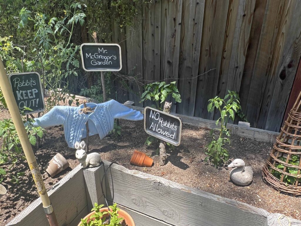 Peter Rabbit garden vignette
