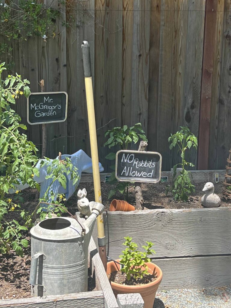 Peter Rabbit garden vignette
