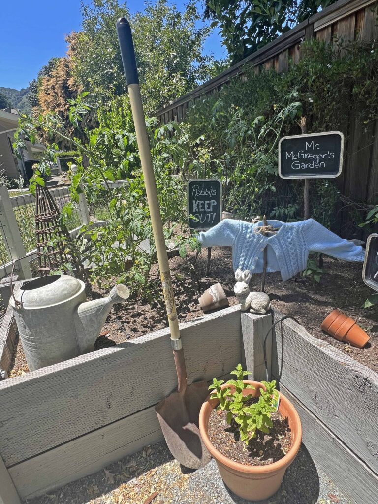 Peter Rabbit garden vignette