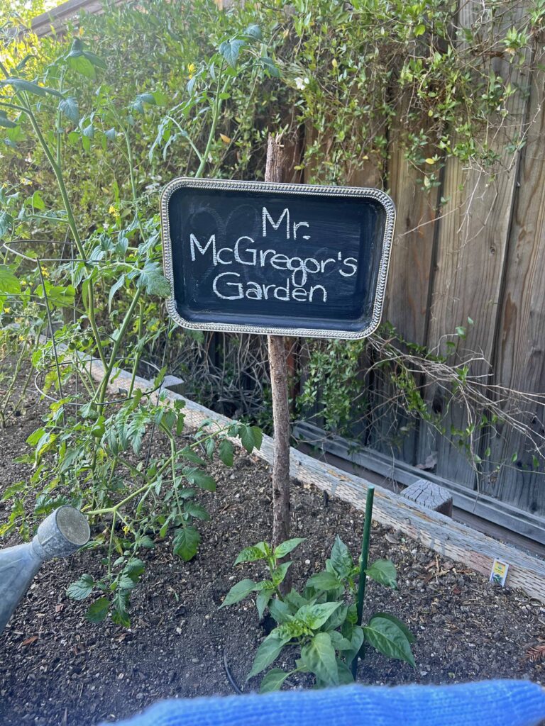 Peter Rabbit garden vignette