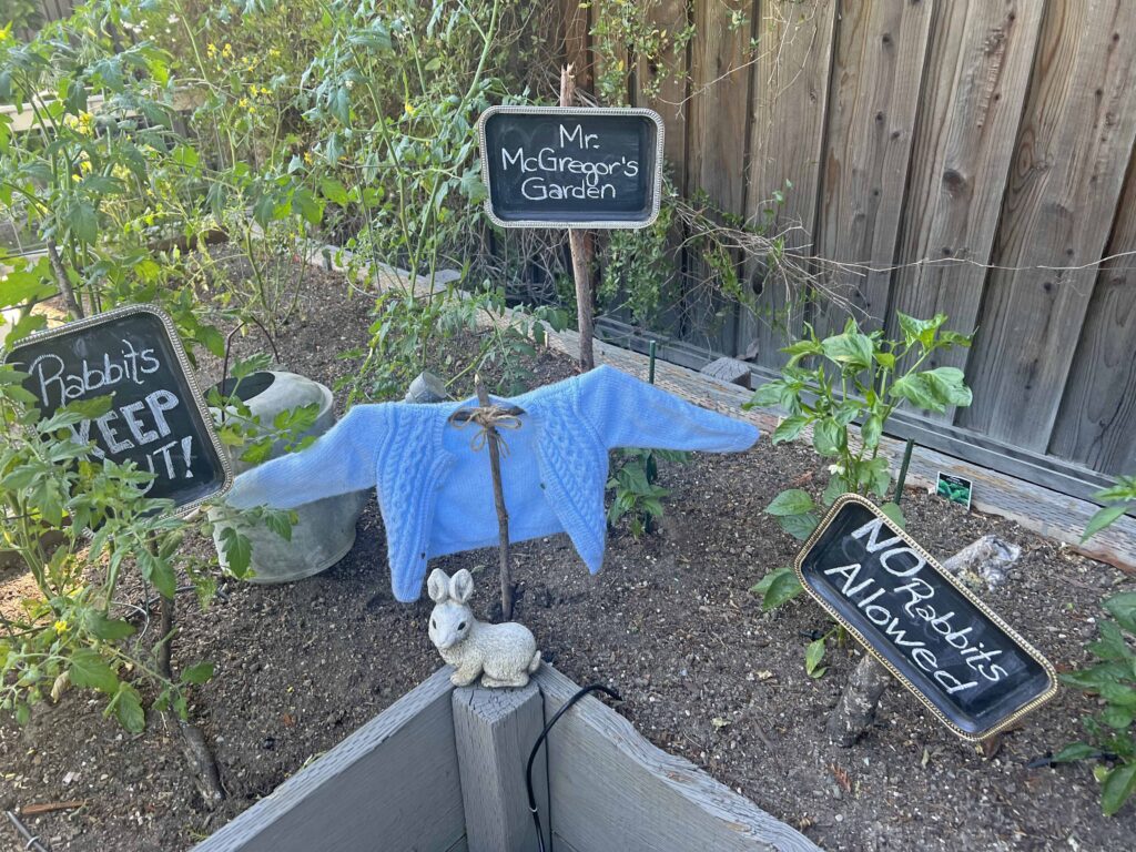 Peter Rabbit garden vignette