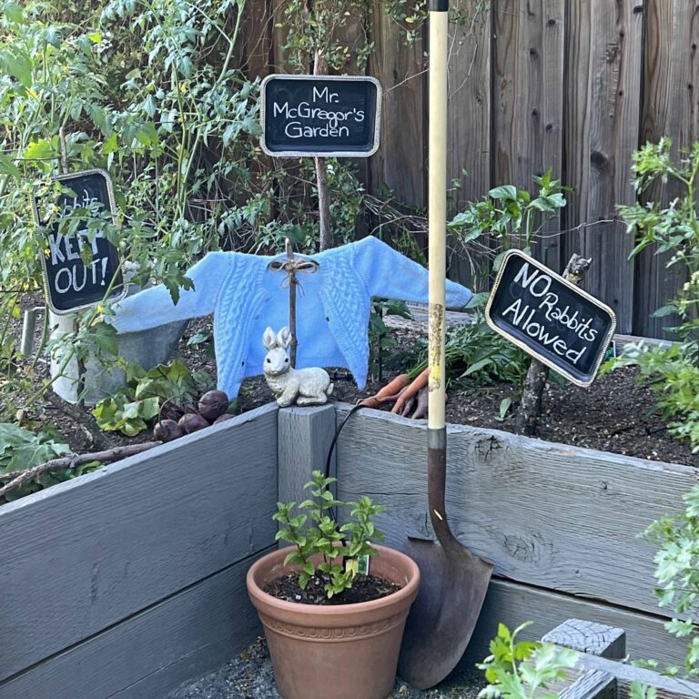 How to Create a Peter Rabbit Vignette in the Garden