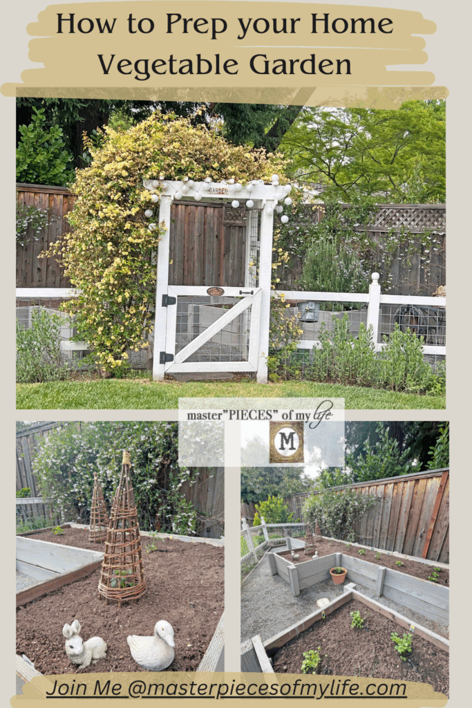 how to prep home vegetable garden