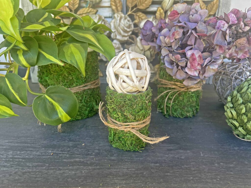 DIY moss containers from tin cans