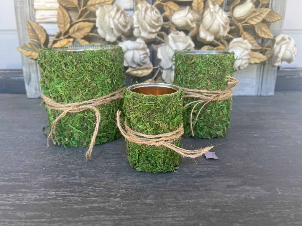 DIY moss containers from tin cans