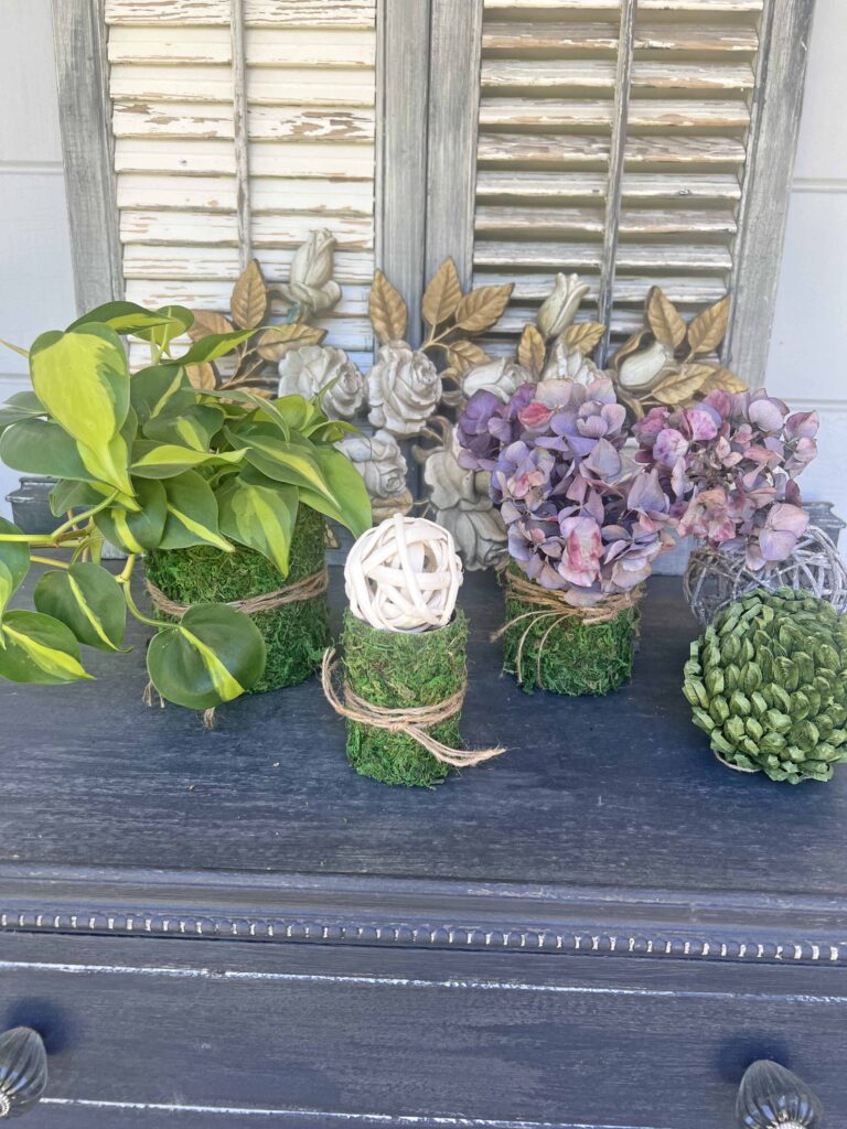 DIY moss containers from tin cans