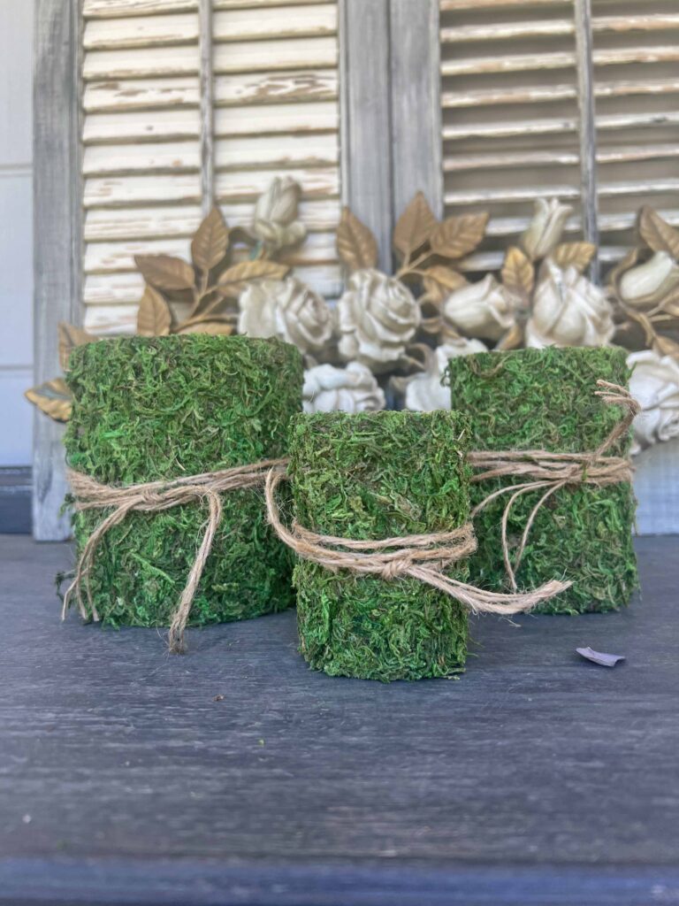 DIY moss containers from tin cans