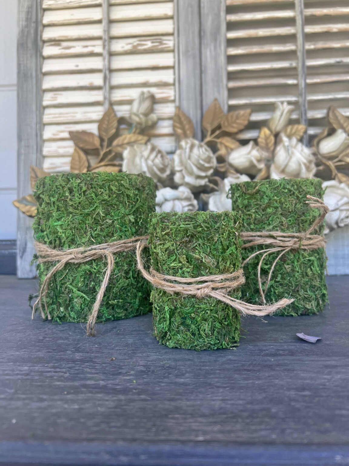 DIY Moss Containers from Tin Cans - Master