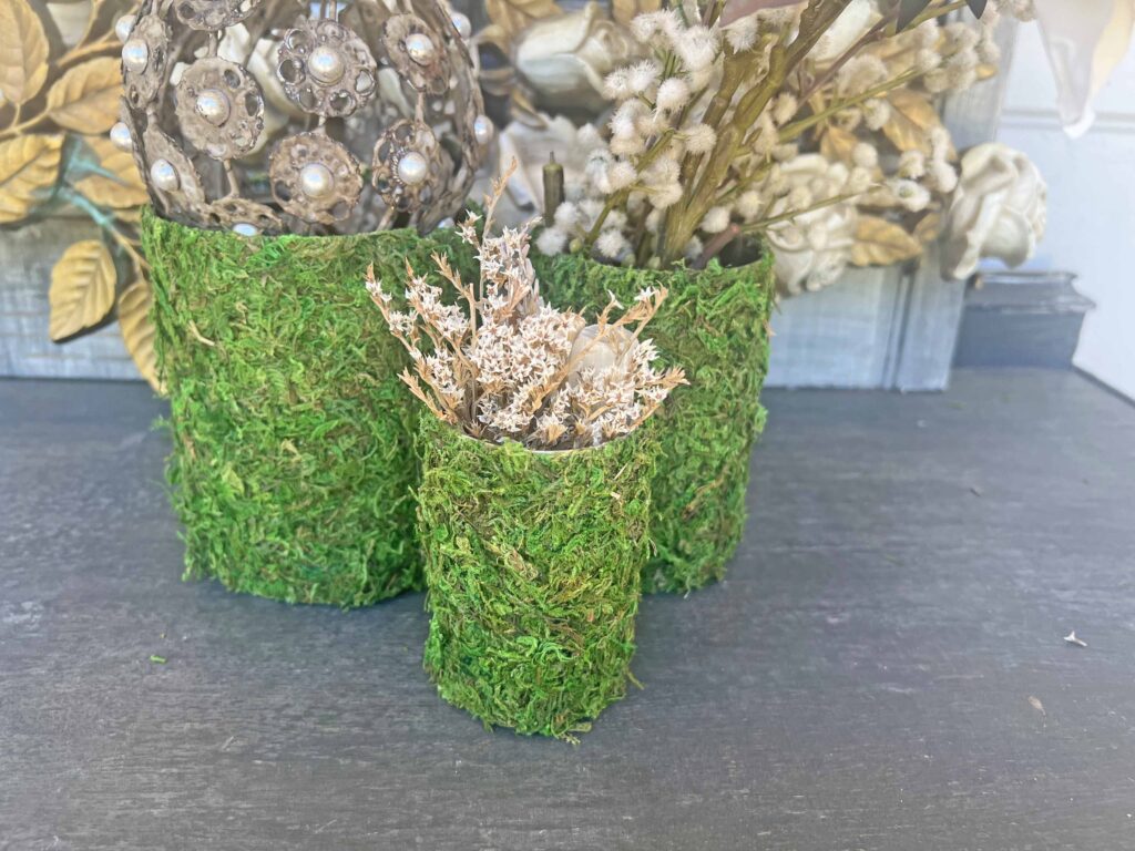 DIY moss containers from tin cans