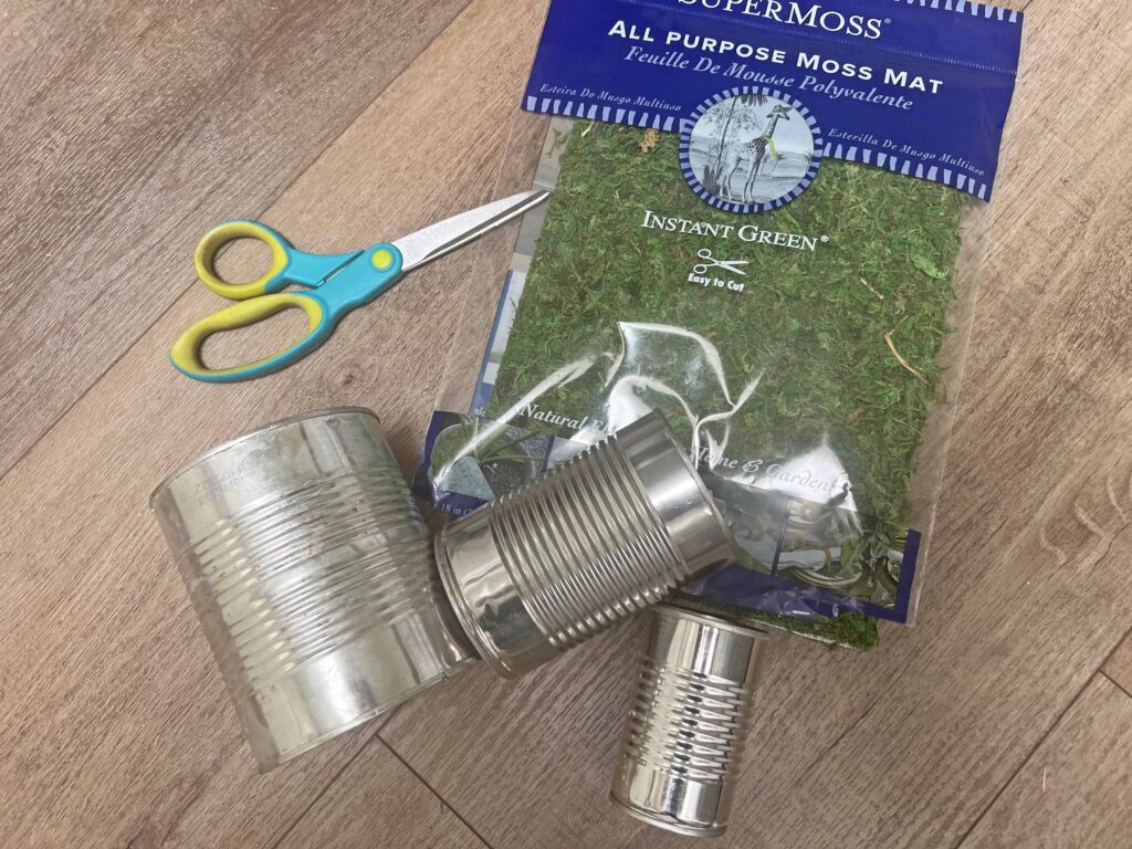 DIY moss containers from tin cans