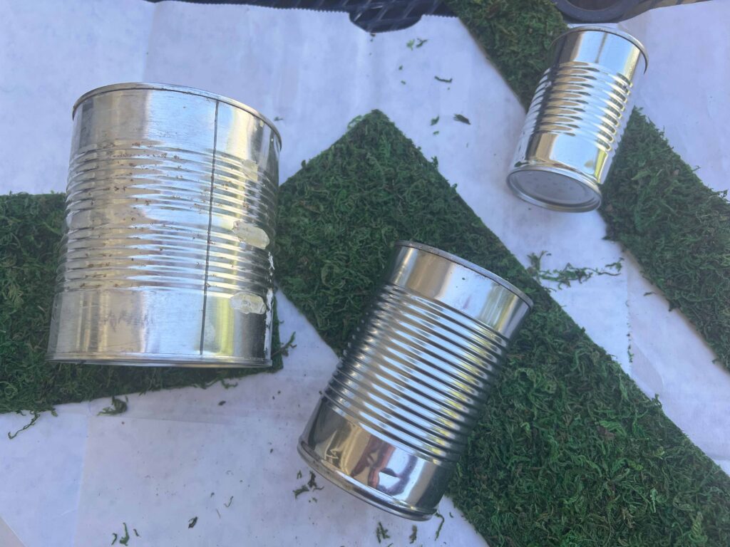 DIY moss containers from tin cans