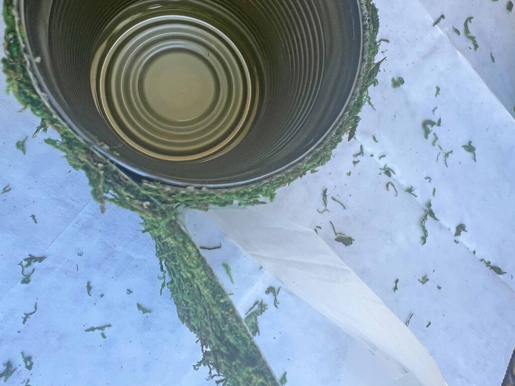 DIY moss containers from tin cans