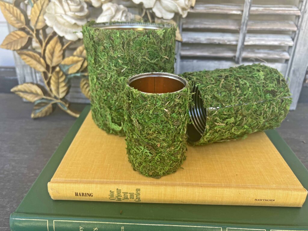 DIY moss containers from tin cans