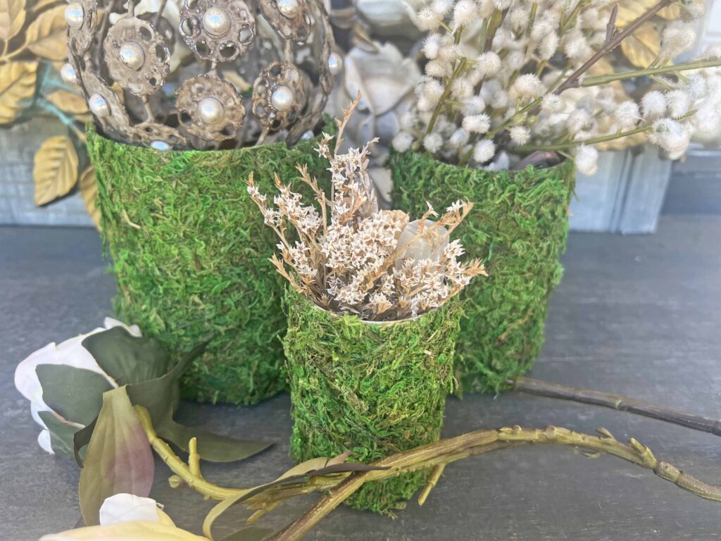 DIY moss containers from tin cans