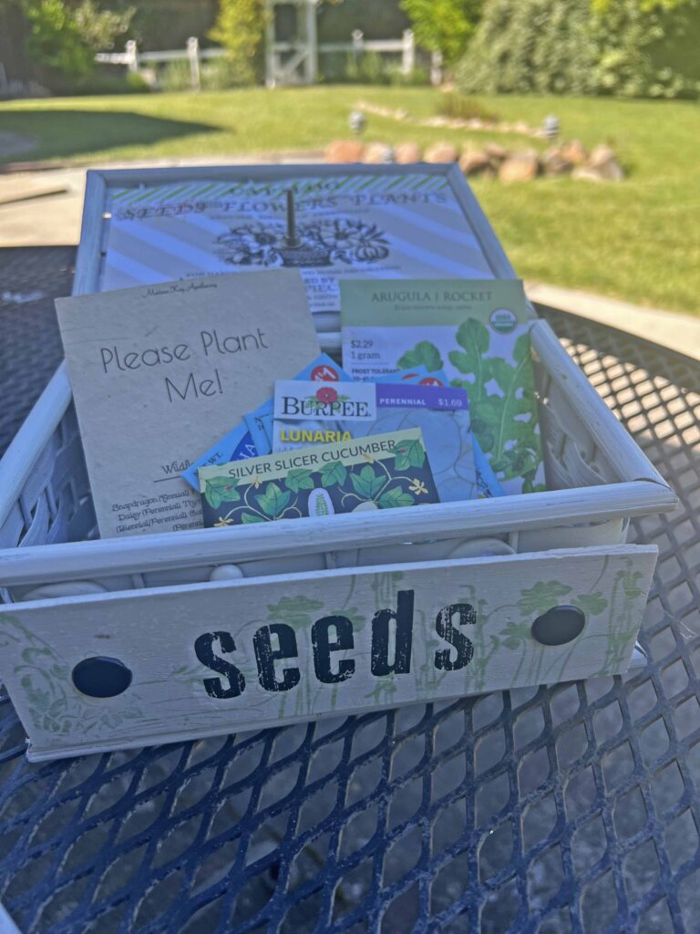 thrifted basket seed box DIY