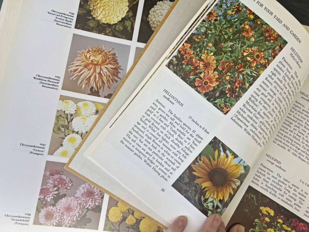 unique garden thrifted finds