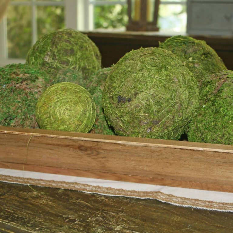 Moss Decor and Craft Ideas for your Home