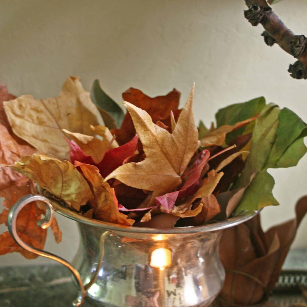 autumn leaves decor