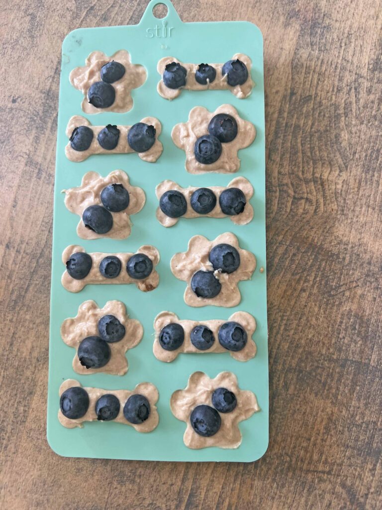 homemade no bake dog treat recipe