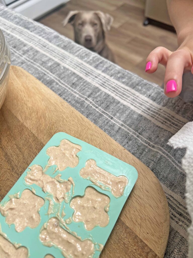 homemade no bake dog treat recipe